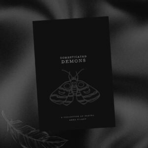 Domesticated Demons (Paperback)